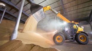 Липсват купувачи за хлебна пшеница при 388 лева за тон