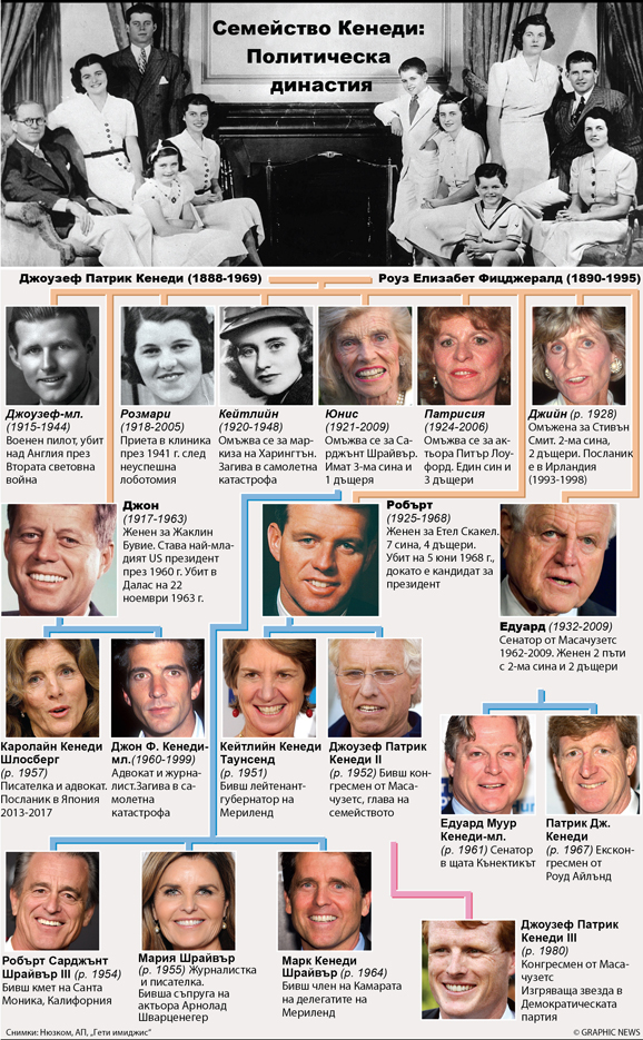 POLITICS: Kennedy family tree