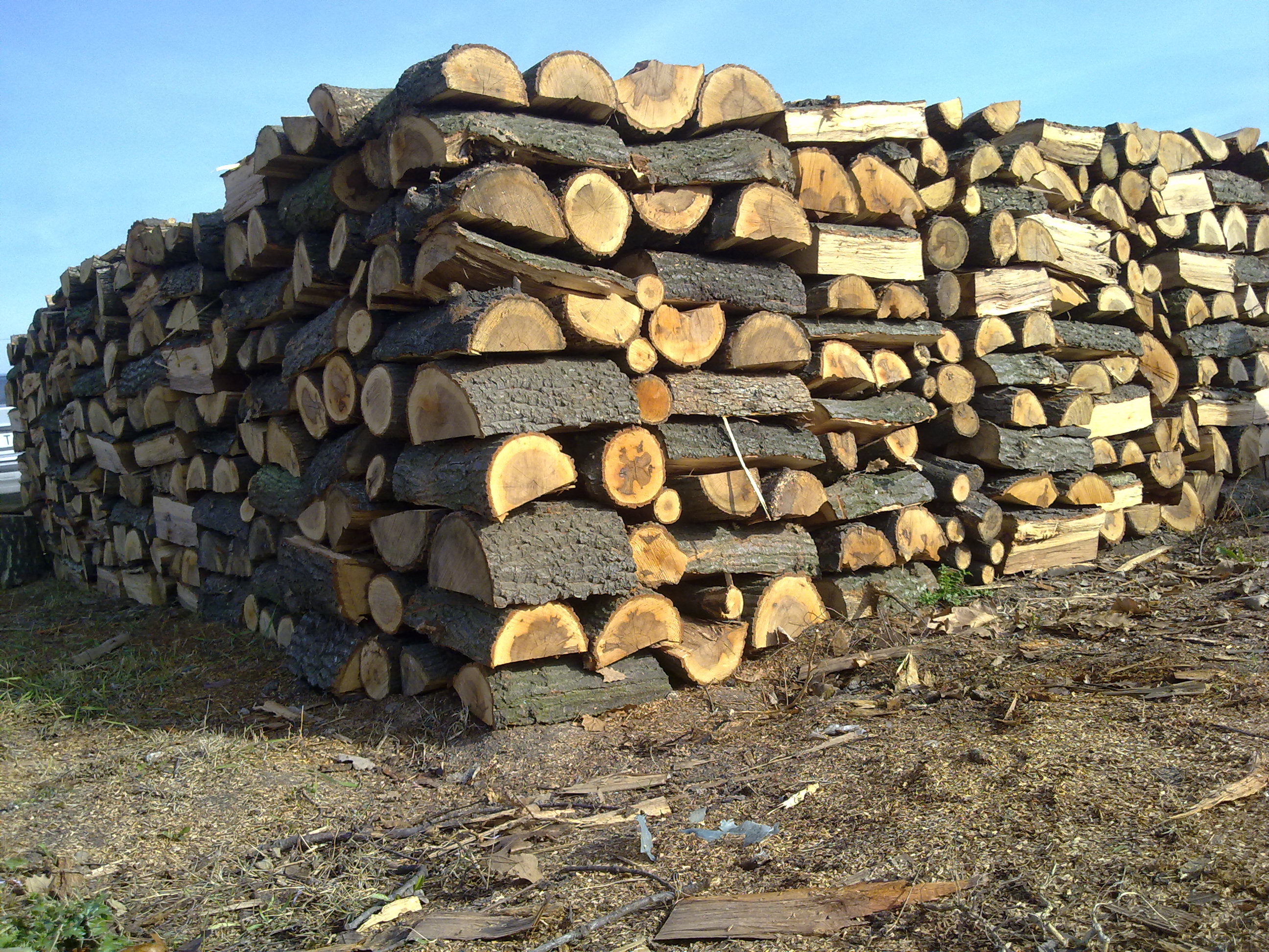 Дърва за огрев от 42 до 58 лв. кубика продава Общинското горско стопанство в Хисаря - Труд