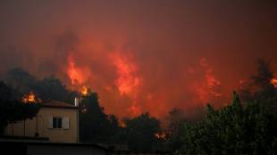Горските пожари на територията на Европейски съюз за унищожили площи