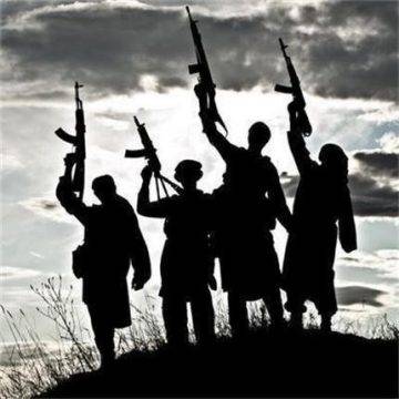 33-ма предполагаеми членове на джихадистката групировка Ислямска държава (ДАЕШ) са