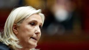 Френската крайнодясна националистическа партия Национален сбор има екип от министри
