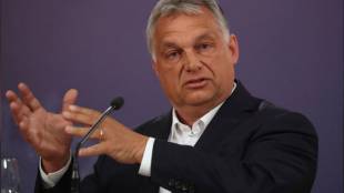 Унгария планира да проведе референдум по въпроси свързани със защитата