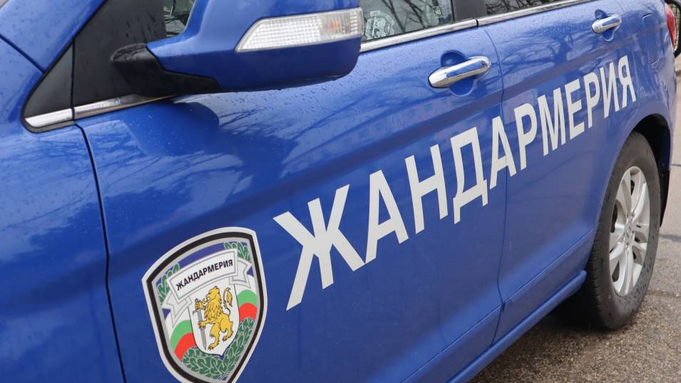 Специализирана полицейска операция се провежда на територията на област Добрич.Целта