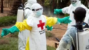 Световната здравна организация СЗО обяви официално края на втората епидемия