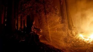 Голям пожар бушува в района на Свиленград Огънят е обхванал