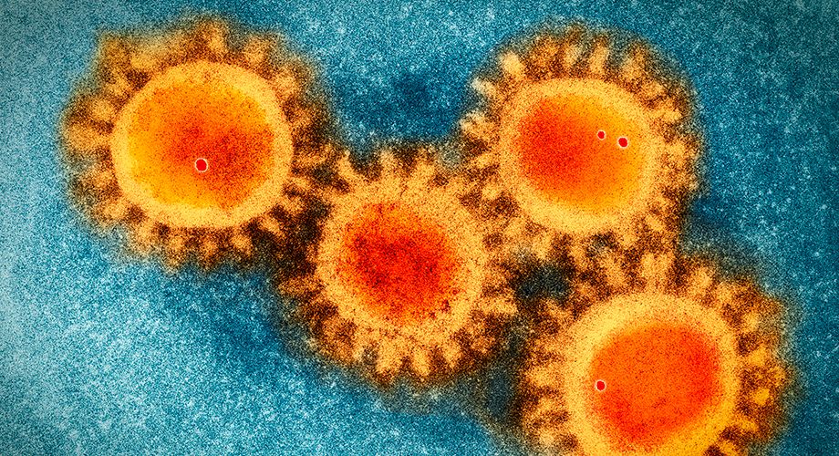Първият случай на заразяване с коронавирус от щама B.1.617, т.е.