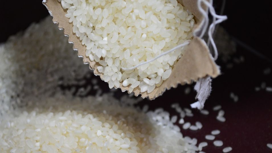 Цената ориза достигна 12-годишен връх в световен мащаб, съобщи Световната