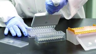 Още две проби съмнителни за новия остър хепатит който засяга