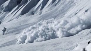 В Австрия за три дни паднаха над 100 лавини Властите