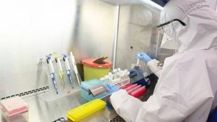 Рекордни 12 399 нови случая на коронавирус са били регистрирани