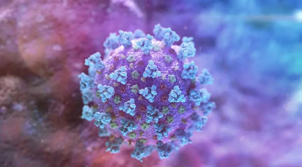 Учени смятат, че вирусът, който причинява COVID-19 може да остане