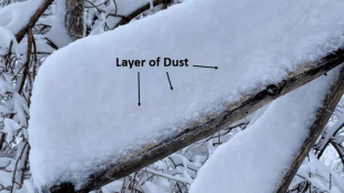 Снежната буря Ксилия отговорна за силните снеговалежи в Северните щати