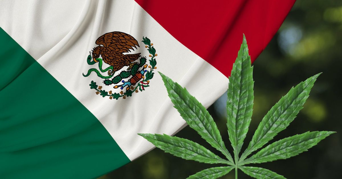 Камарата на депутатите на Мексико одобри законопроект, което регулира потреблението,