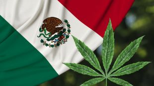 Камарата на депутатите на Мексико одобри законопроект което регулира потреблението