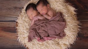 Повече близнаци се раждат откогато и да било в световен