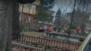 А в Кюстендил тази сутрин огромно дърво падна върху автомобил
