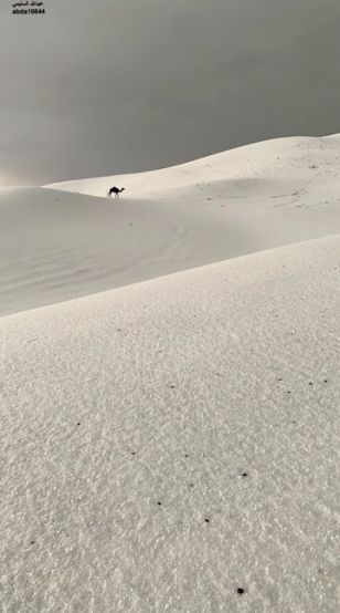 Дебели преспи сняг покриха южната част на Саудитска Арабия Най обилен
