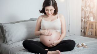 Бразилските власти призоваха жените да отложат забременяването си докато не