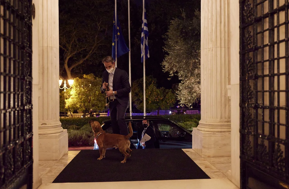 Премиерът на Гърция, Кириакос Мицотакис осинови куче от приют в