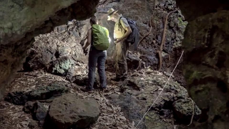 Археолози са открили група от изгубени градове в тропическите гори
