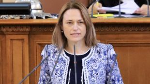 Предлага само 80 депутати да се избират мажоритарноИва Митева Рупчева