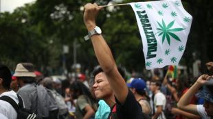Върховният съд на Мексико декриминализира употребата на марихуана за удоволствие