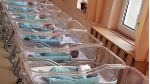 21 бебета се родиха в рамките на 24 часа в