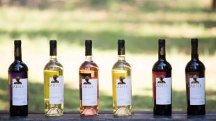 Избата спечели най много отличия от българските винарни на Vinalies InternationalesС