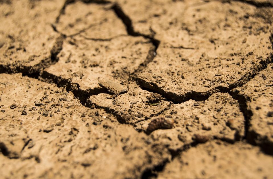 Недостигът на вода и засушаването може да нанесат щети от
