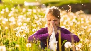 Алергията към полени е доста неприятна за страдащите от нея