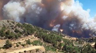 Три големи пожара бушуват на о в Кипър предаде в Сайпръс
