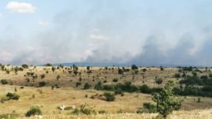 Само ден след потушаването на големия горски пожар в Сакар