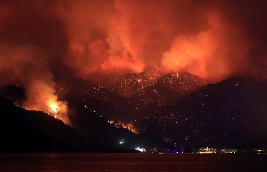 Почти всички от 98-те огнища на горски пожари в Турция