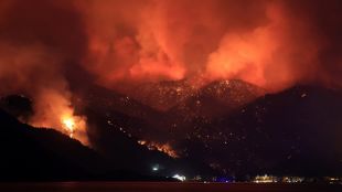 Почти всички от 98 те огнища на горски пожари в Турция