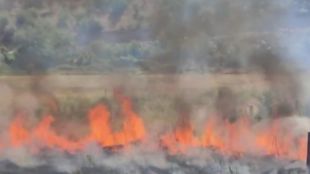 Голям пожар гори в Стара Планина близо до Рожен и