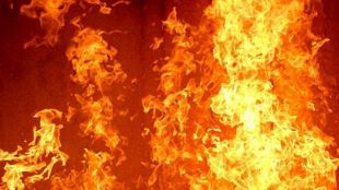 Големият горски пожар между селата Планиново и Устрем в Сакар
