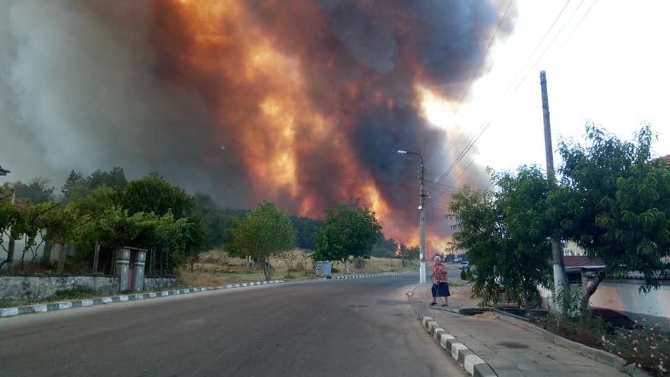 Голям пожар бушува в района на село Старосел. Запалила се