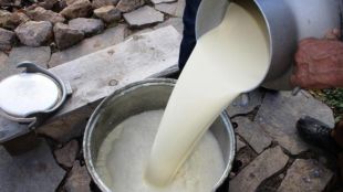 Квоти за български млечни продукти и субсидии за да има