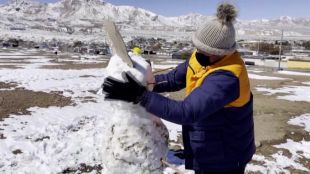 Сняг заваля в чилийската пустиня Атакама Рядко срещаният снеговалеж изненада