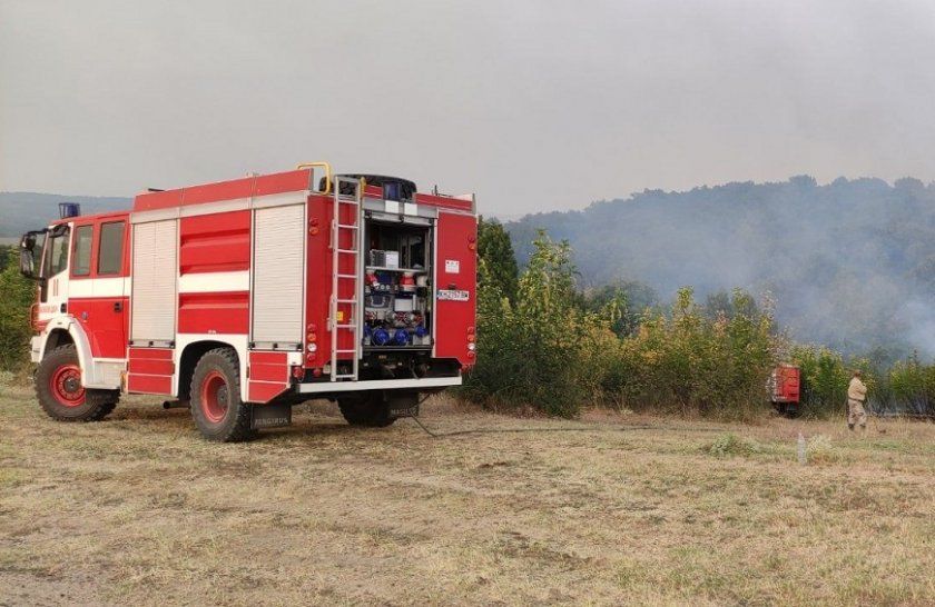 Голям горски пожар бушува над село Илинденци, област Благоевград.Вчера в