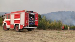 Голям горски пожар бушува над село Илинденци област Благоевград Вчера в