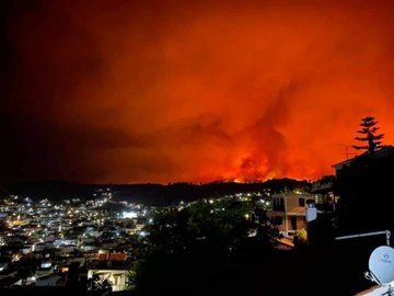 Пожарникарите гасиха 154 горски пожара в Гърция за изминалото денонощие,