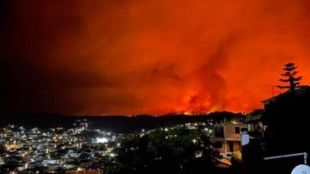 Пожарникарите гасиха 154 горски пожара в Гърция за изминалото денонощие