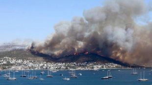 Около 500 пожара са избухнали в страната от 12 юлиВсички