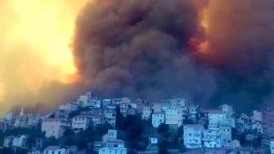 Най малко 65 души са загинали при горски пожари избухнали в