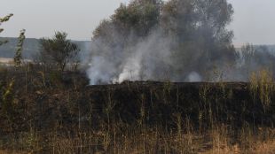 Голям пожар избухна в района на Сатовча в местността Вълнев
