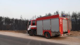 Пожар от Турция е навлязъл на българска територия в района