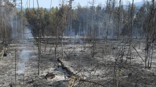 Големият горски пожар в Рила планина е видим от спътниковите