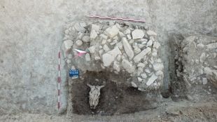 Намерени са овъглен дънер на над 700 години и следи